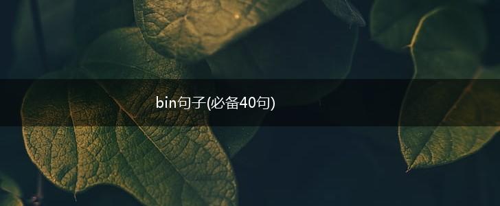 bin句子(必备40句),第1张