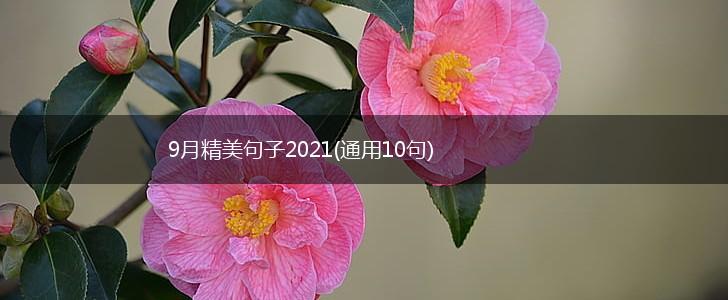 9月精美句子2021(通用10句),第1张