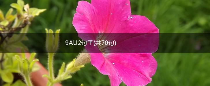 9AU2句子(共70句),第1张