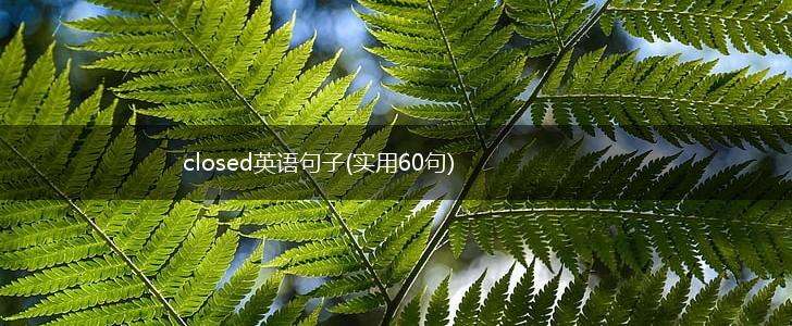 closed英语句子(实用60句),第1张
