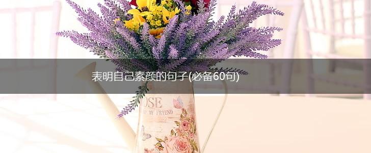 表明自己素颜的句子(必备60句),第1张
