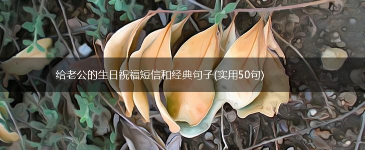 给老公的生日祝福短信和经典句子(实用50句),第1张