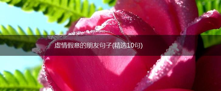 虚情假意的朋友句子(精选10句),第1张