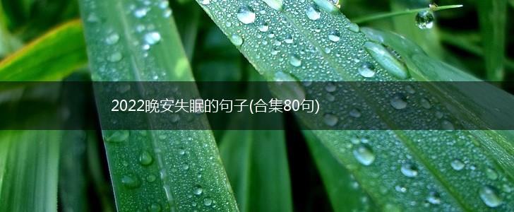 2022晚安失眠的句子(合集80句),第1张