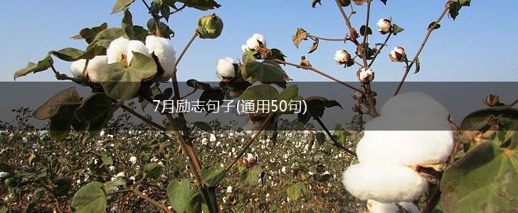 7月励志句子(通用50句),第1张