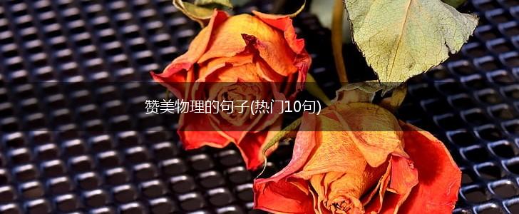 赞美物理的句子(热门10句),第1张
