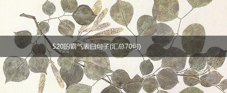 520的霸气表白句子(汇总70句),第1张