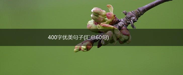 400字优美句子(汇总60句),第1张