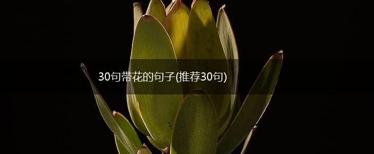 30句带花的句子(推荐30句),第1张