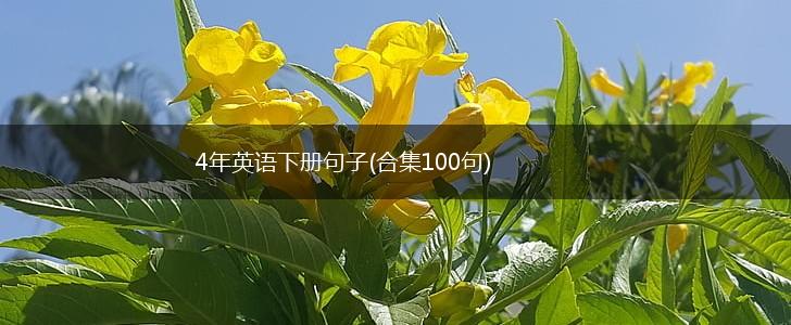 4年英语下册句子(合集100句),第1张