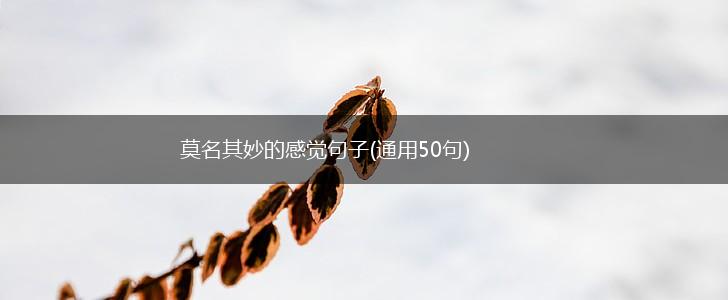 莫名其妙的感觉句子(通用50句),第1张