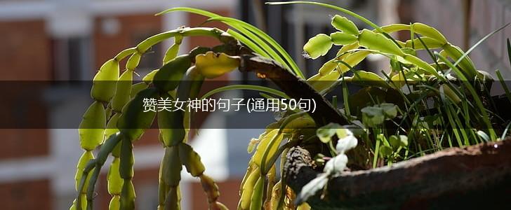 赞美女神的句子(通用50句),第1张