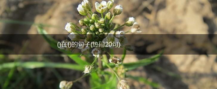 ()在()的句子(热门20句),第1张