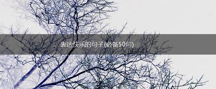 表达快乐的句子(必备50句),第1张