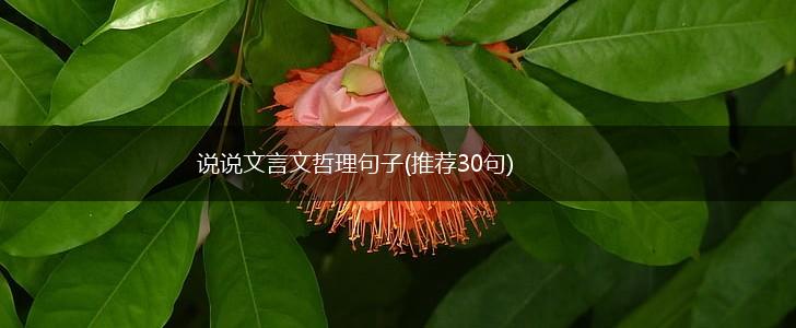 说说文言文哲理句子(推荐30句),第1张