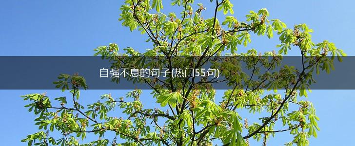 自强不息的句子(热门55句),第1张