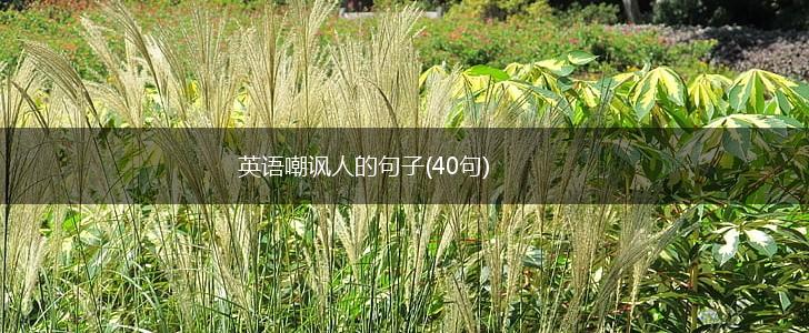 英语嘲讽人的句子(40句),第1张
