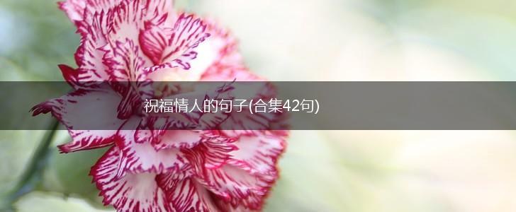 祝福情人的句子(合集42句),第1张