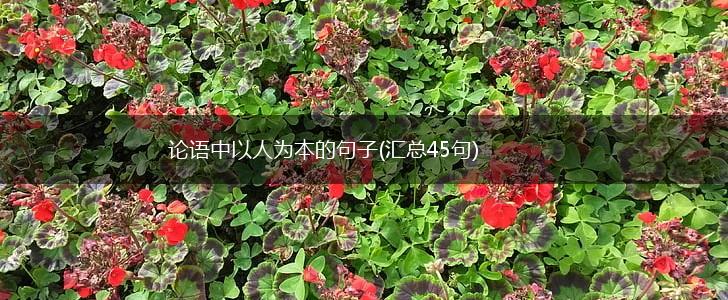 论语中以人为本的句子(汇总45句),第1张