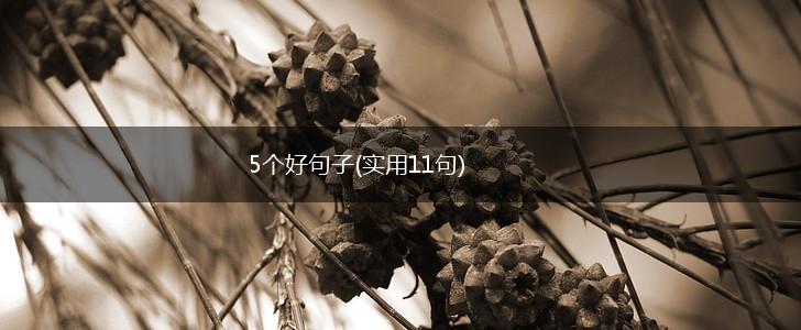 5个好句子(实用11句),第1张