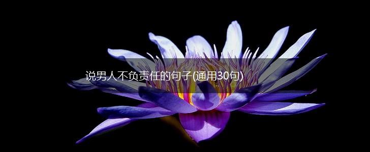 说男人不负责任的句子(通用30句),第1张