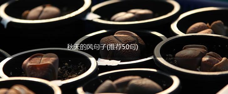 秋天的风句子(推荐50句),第1张