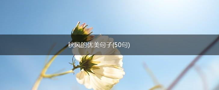 秋风的优美句子(50句),第1张