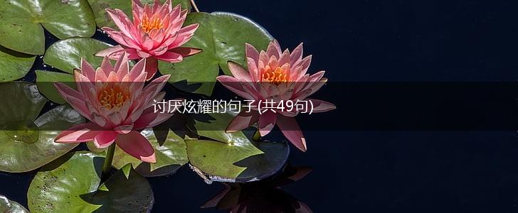 讨厌炫耀的句子(共49句),第1张