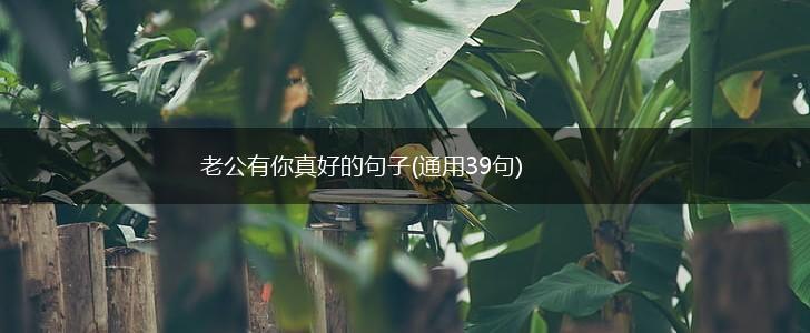 老公有你真好的句子(通用39句),第1张