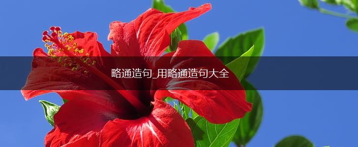 略通造句_用略通造句大全,第1张