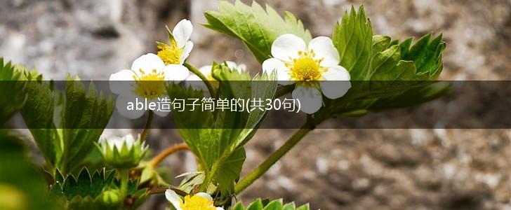 able造句子简单的(共30句),第1张