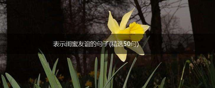 表示闺蜜友谊的句子(精选50句),第1张