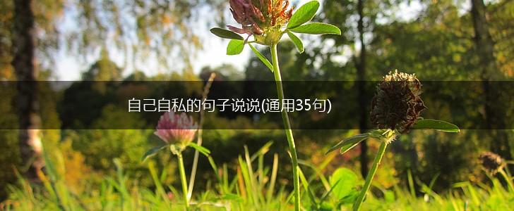 自己自私的句子说说(通用35句),第1张