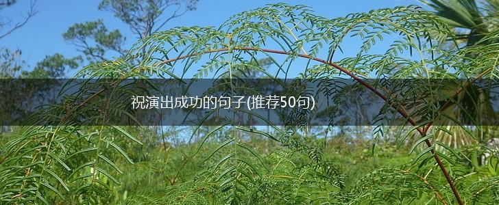 祝演出成功的句子(推荐50句),第1张