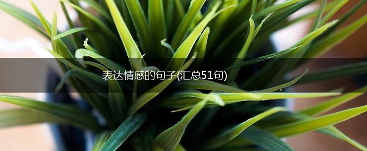 表达情感的句子(汇总51句),第1张