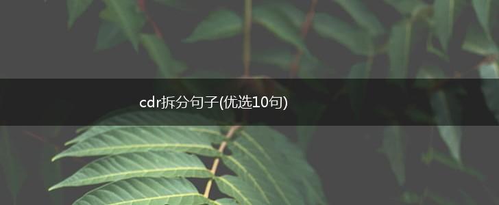 cdr拆分句子(优选10句),第1张