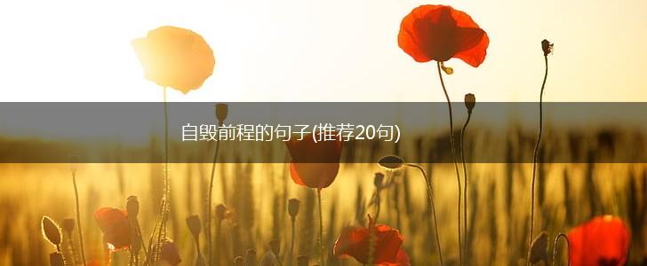 自毁前程的句子(推荐20句),第1张