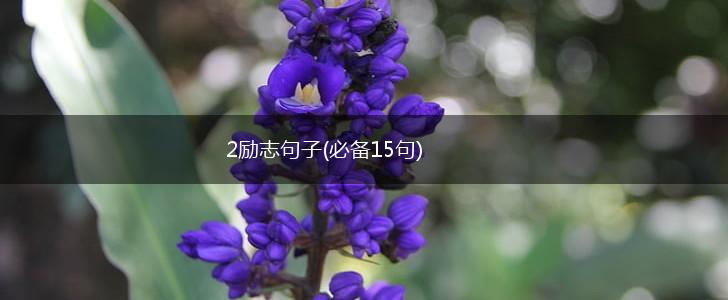 2励志句子(必备15句),第1张