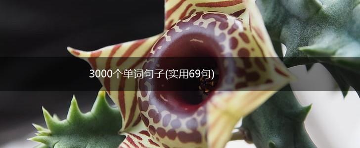 3000个单词句子(实用69句),第1张