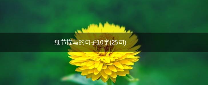 细节描写的句子10字(25句),第1张