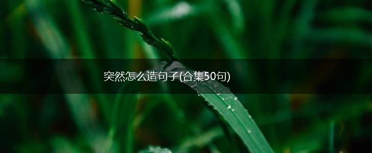 突然怎么造句子(合集50句),第1张