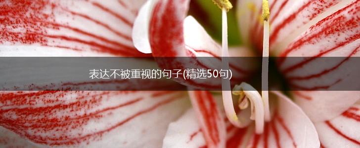 表达不被重视的句子(精选50句),第1张