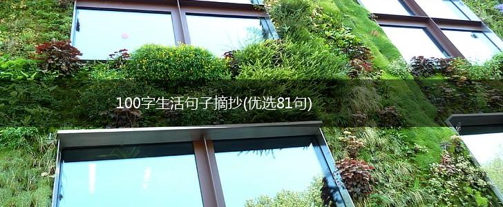 100字生活句子摘抄(优选81句),第1张