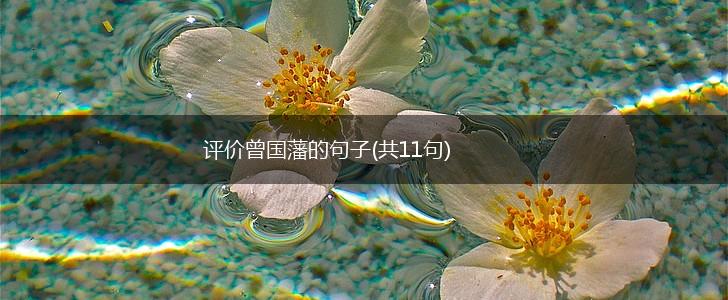 评价曾国藩的句子(共11句),第1张