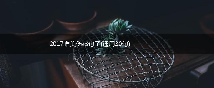 2017唯美伤感句子(通用30句),第1张