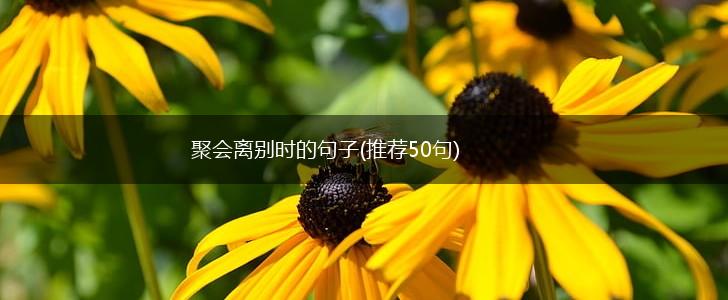聚会离别时的句子(推荐50句),第1张