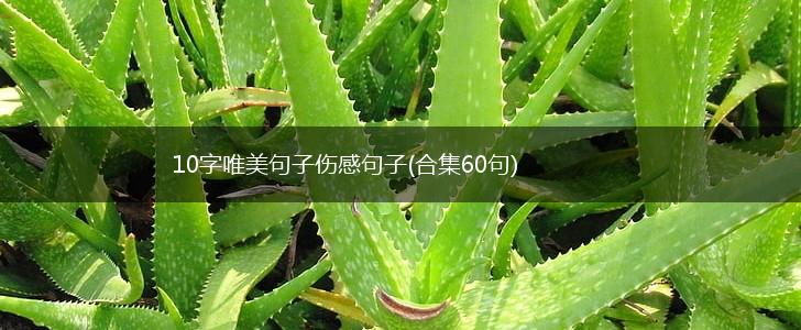 10字唯美句子伤感句子(合集60句),第1张