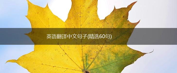 英语翻译中文句子(精选60句),第1张
