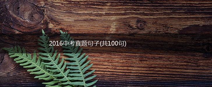 2016中考真题句子(共100句),第1张