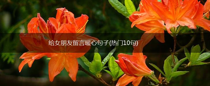 给女朋友留言暖心句子(热门10句),第1张